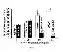 Fig. 33 - Mammalian multipotent stem cells and compositions, methods of preparation and methods of administration thereof