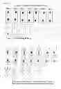 Fig. 32 - Tricalcium phosphate binding peptides and uses thereof