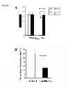 Fig. 07 - COMPOSITIONS AND METHODS FOR TREATING BONE FORMATION DISORDERS