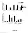 Fig. 19 - Compositions and Methods of Treating T Cell Deficiency