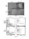 Fig. 06 - Hematopoietic precursor cell production by programming