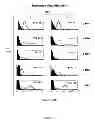 Fig. 02 - CULTURE MEDIUM AND METHOD FOR OBTAINING A POPULATION OF TOLEROGENIC DENDRITIC CELLS