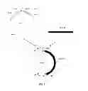 Fig. 02 - Insecticidal protein, gene encoding the same and uses thereof