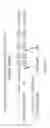 Fig. 02 - IMMUNOGLOBULIN 1