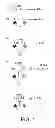 Fig. 02 - MULTI-SPECIFIC ANTIGEN-BINDING MOLECULES AND USES THEREOF