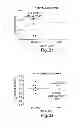 Fig. 22 - Methods and compositions relating to synthetic beta-1,6 glucosamine oligosaccharides