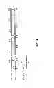 Fig. 07 - METHODS OF TREATMENT USING IL-17E ANTAGONISTS