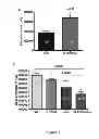 Fig. 08 - Mitigating tissue damage and fibrosis via latent transforming growth factor beta binding protein (LTBP4)