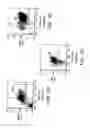 Fig. 04 - Method for treating cancer using an antibody that inhibits notch4 signaling