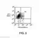 Fig. 06 - Method for treating cancer using an antibody that inhibits notch4 signaling