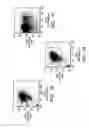 Fig. 08 - Method for treating cancer using an antibody that inhibits notch4 signaling