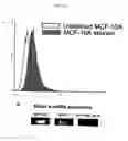 Fig. 33 - Method for treating cancer using an antibody that inhibits notch4 signaling