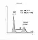Fig. 43 - Method for treating cancer using an antibody that inhibits notch4 signaling