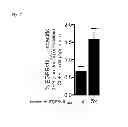 Fig. 06 - Methods and compositions for inducing an immune response to EGFRvIII