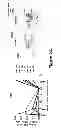Fig. 04 - HIV/SIV VACCINES FOR THE GENERATION OF MUCOSAL AND SYSTEMIC IMMUNITY