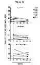 Fig. 06 - HIV/SIV VACCINES FOR THE GENERATION OF MUCOSAL AND SYSTEMIC IMMUNITY