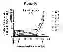 Fig. 08 - HIV/SIV VACCINES FOR THE GENERATION OF MUCOSAL AND SYSTEMIC IMMUNITY