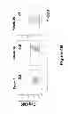 Fig. 09 - HIV/SIV VACCINES FOR THE GENERATION OF MUCOSAL AND SYSTEMIC IMMUNITY