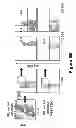 Fig. 14 - HIV/SIV VACCINES FOR THE GENERATION OF MUCOSAL AND SYSTEMIC IMMUNITY