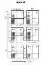 Fig. 17 - HIV/SIV VACCINES FOR THE GENERATION OF MUCOSAL AND SYSTEMIC IMMUNITY
