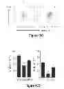 Fig. 25 - HIV/SIV VACCINES FOR THE GENERATION OF MUCOSAL AND SYSTEMIC IMMUNITY