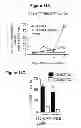 Fig. 26 - HIV/SIV VACCINES FOR THE GENERATION OF MUCOSAL AND SYSTEMIC IMMUNITY