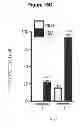 Fig. 31 - HIV/SIV VACCINES FOR THE GENERATION OF MUCOSAL AND SYSTEMIC IMMUNITY