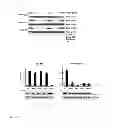 Fig. 04 - ADJUVANTS THAT ACTIVATE ADAPTIVE IMMUNE SYSTEM BY STIMULATING NLRP3