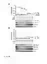 Fig. 06 - ADJUVANTS THAT ACTIVATE ADAPTIVE IMMUNE SYSTEM BY STIMULATING NLRP3