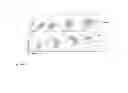 Fig. 09 - ADJUVANTS THAT ACTIVATE ADAPTIVE IMMUNE SYSTEM BY STIMULATING NLRP3