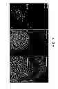Fig. 08 - Synthetic cell platforms and methods of use thereof