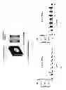 Fig. 08 - COMPOSITION FOR SPATIO AND/OR TEMPORAL RELEASE OF BIOACTIVE MATERIAL