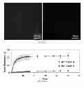 Fig. 09 - COMPOSITION FOR SPATIO AND/OR TEMPORAL RELEASE OF BIOACTIVE MATERIAL