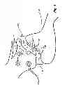Fig. 02 - TRANSDERMAL PAIN GEL