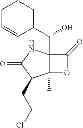 Fig. 16 - Pharmaceutical composition