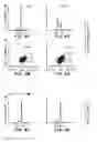 Fig. 06 - MAPKAP kinase-2 as a specific target for blocking proliferation of P53-defective