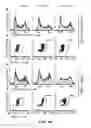 Fig. 08 - MAPKAP kinase-2 as a specific target for blocking proliferation of P53-defective