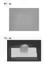 Fig. 02 - Scaffold for tissue regeneration in mammals