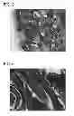 Fig. 07 - Scaffold for tissue regeneration in mammals