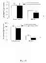 Fig. 02 - Composition comprising Retinol, a precursor or a reaction product of it and a plant extract from at least one Chamomilla plant for the treatment of cancer