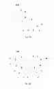 Fig. 06 - ANTIREFLECTIVE COATINGS WITH CONTROLLABLE POROSITY AND DURABILITY PROPERTIES USING CONTROLLED EXPOSURE TO ALKALINE VAPOR