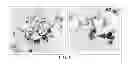 Fig. 02 - COATING COMPOSITION COMPRISING SUBMICRON CALCIUM CARBONATE-COMPRISING PARTICLES, PROCESS TO PREPARE SAME AND USE OF SUBMICRON CALCIUM CARBONATE-COMPRISING PARTICLES IN COATING COMPOSITIONS