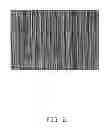 Fig. 03 - Composite carbon nanotube structure