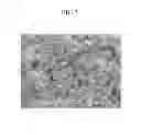 Fig. 04 - Positive active material for rechargeable lithium battery, method of preparing same, and rechargeable lithium battery including same
