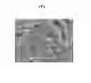Fig. 06 - Positive active material for rechargeable lithium battery, method of preparing same, and rechargeable lithium battery including same