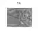 Fig. 07 - Positive active material for rechargeable lithium battery, method of preparing same, and rechargeable lithium battery including same