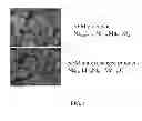Fig. 02 - Electrode materials for rechargeable battery