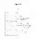 Fig. 05 - Fuel cell