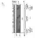 Fig. 06 - Phase shift mask for extreme ultraviolet lithography and method of fabricating same