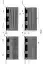 Fig. 09 - Extreme ultraviolet (EUV) multilayer defect compensation and EUV masks